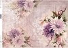 flores de papel de arroz, Astra, fondo púrpura*рисовая бумага цветы, Astra, фиолетовый фон*Reispapierblumen , Astra, lila Hintergrund